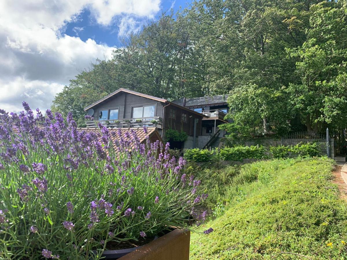 Chalet De La Sabliere Amougies Экстерьер фото
